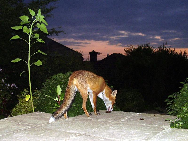 0201062008023.jpg