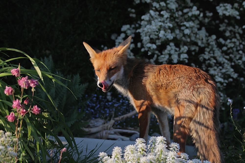 0405070205071464.jpg