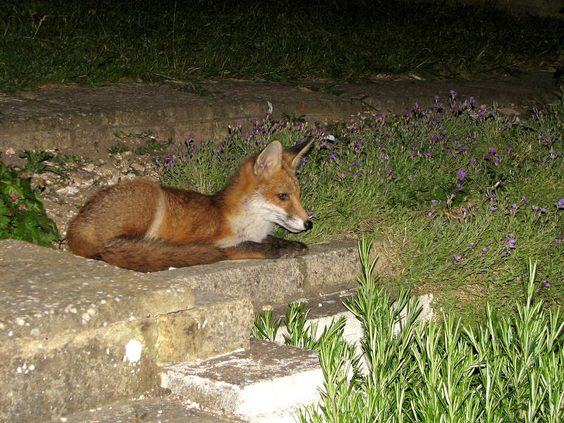 040606030606044.jpg
