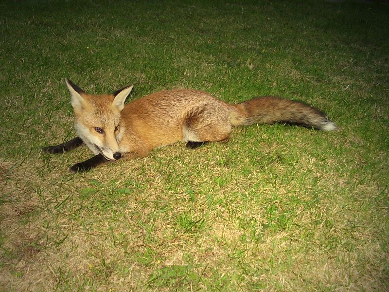 0508050408020.jpg