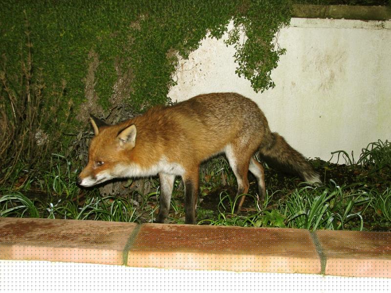 0702060402011.jpg