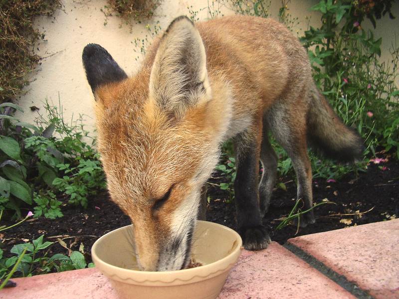 110306280705003.jpg