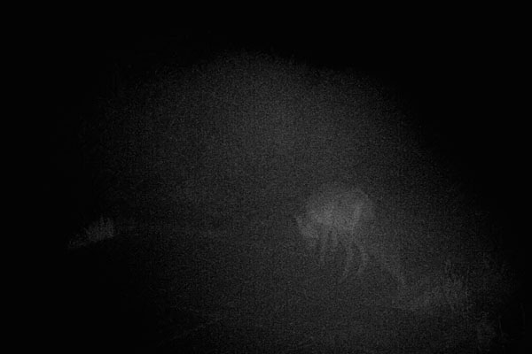 1403091303090012.jpg - DK