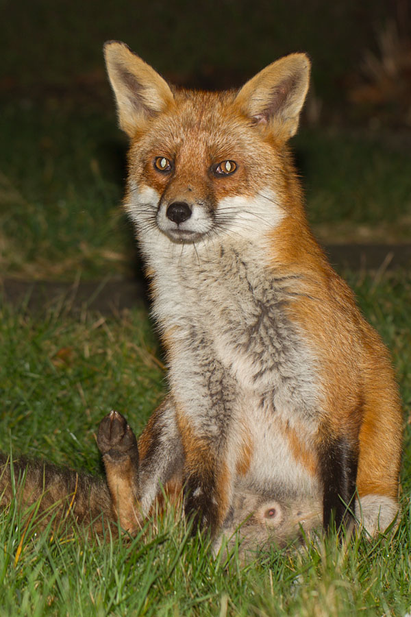 2002152102114628.jpg - Ungainly pose!