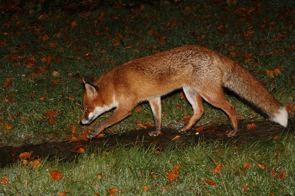 2011081611081479.jpg