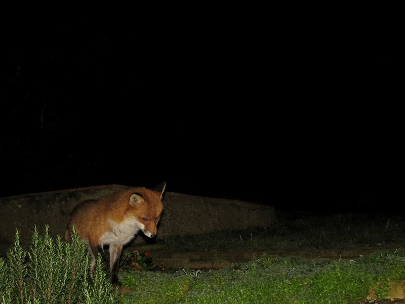 201206191206003.jpg