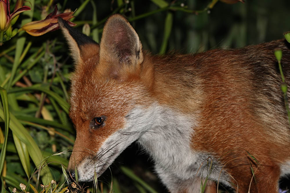 2310080407086861.jpg