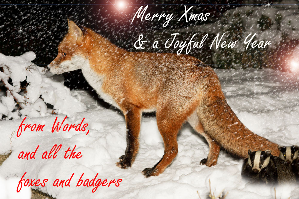2412120801108600.jpg - Festive Greeting 2012