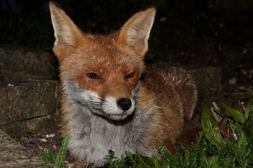 2704102604106264.jpg