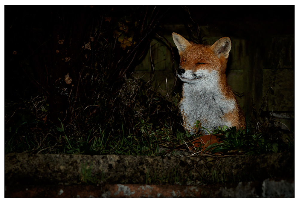 2711232511231862.jpg - Male #2 (Nick) at night