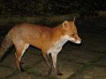 011206261106003