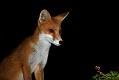 0208213107216042