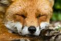 0306120206120863