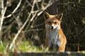 0903140803144813