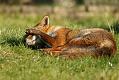 1502231402234574