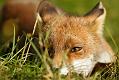 1808171808170588