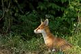 1906171906171802