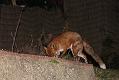 2002081902086109