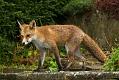 2010131910132232