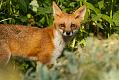 2511151007130177