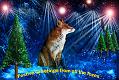 Xmas20212012216183
