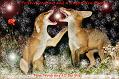 xmas_2017_1906171917