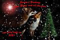 xmas_2020w_1612201588