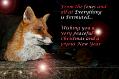 xmasfox2009_3010099433