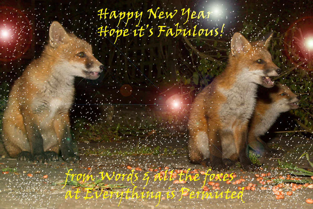 newyear_2015.jpg - Three fox cubs