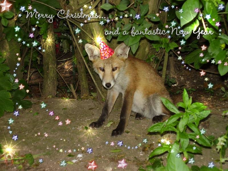 xmas2.jpg