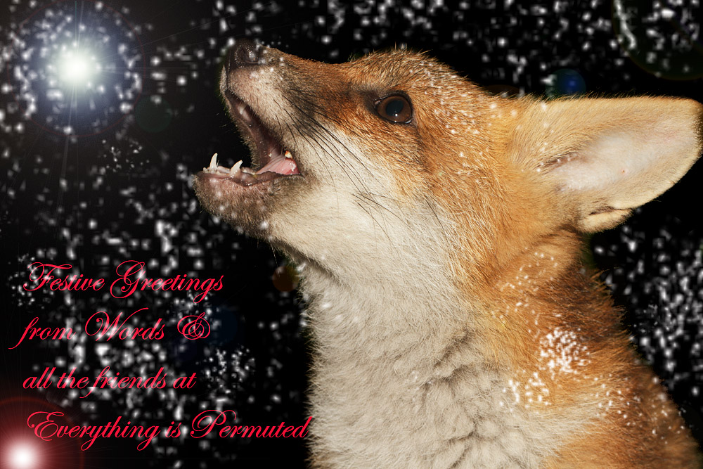 xmas_2016_2105137509.jpg - Portrait of a fox cub