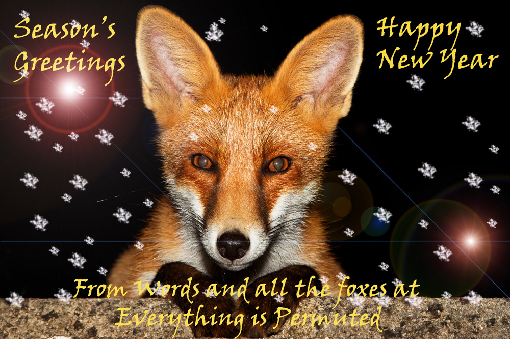 xmas_2018.jpg - Young fox at night (Long Nose)