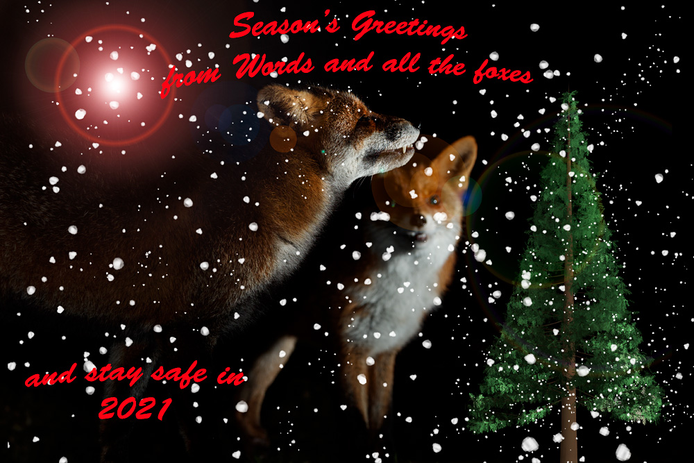 xmas_2020w_1612201588.jpg - Stumpy (with Wolfy)