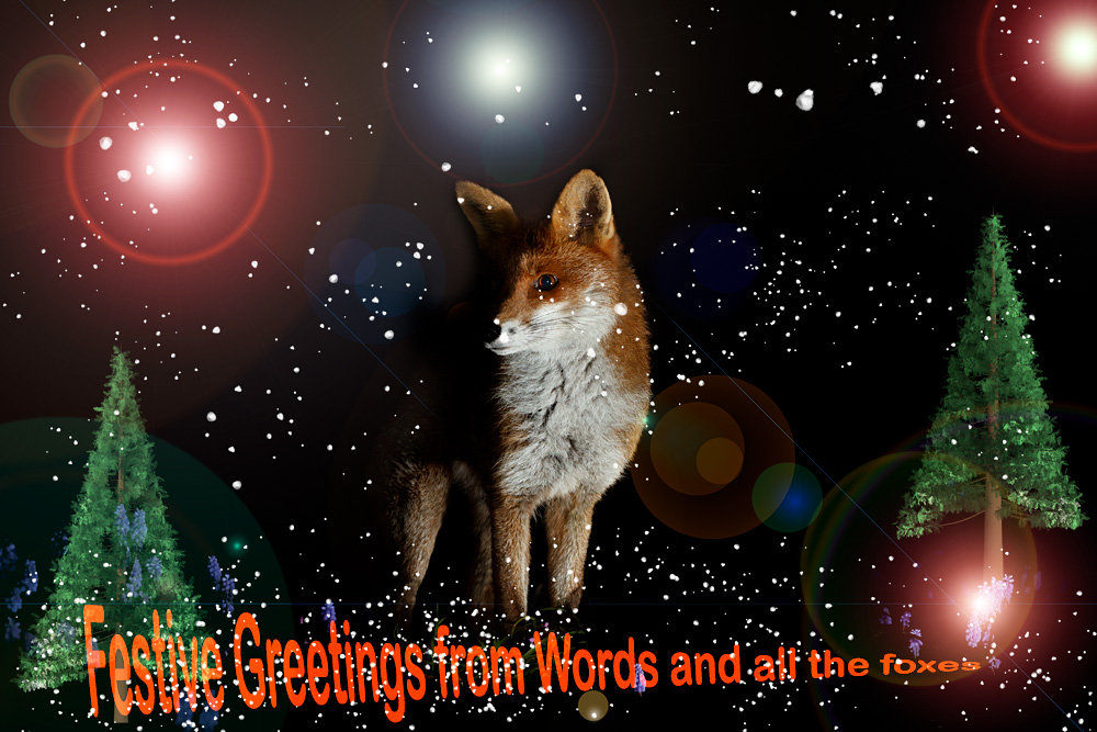 xmas_211222.jpg - Portrait of Stumpy