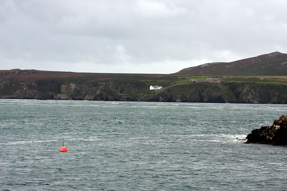 ramsey_island_0509094799.jpg