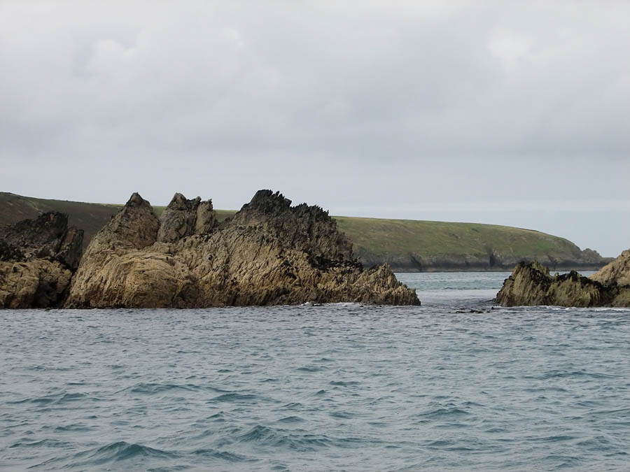 ramsey_island_s2_050909104.jpg