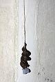 slug_mating_2507094972