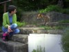 Fox chat